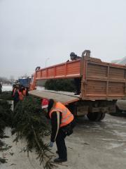 ��� ����� ����� � ������-��� ����� 100 ����