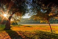 � ������-��� ��������� ������������ �������� ������� �� �����