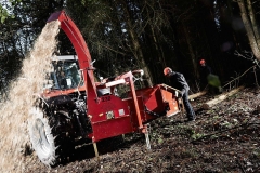 � ��� "�����" �������� ���� ������������ ���������