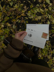 ������ � �������