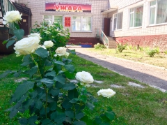 ��������� ����� �������� ��������� ����� - 2021� 