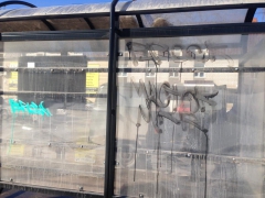 ����� ������������ �������� ��������� ����������