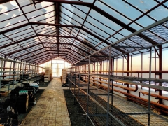 �� ����� ����, � � ��������� ��� "�����" ����� ��������� ����������