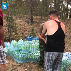 � ���������� ����� �� ��������������� ��������� ������ ������������ � ��������