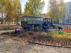 ���� ���������