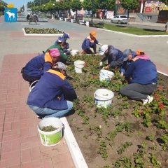 � ������-��� ���������� ������ ������ �� ���������� 