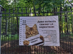 ��������������� ���������� ������������������� � ������������, ���������� ��� �������� ���������� ������� ���������� ���������