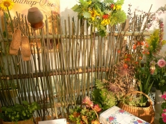 � ������-��� ��������� ������������ ��������� �������� ������