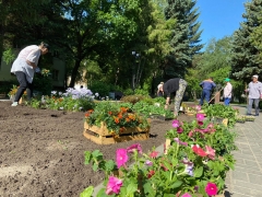 ���� ���������