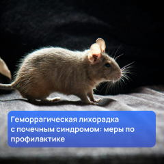 ������� ��������� (����): ���������, ��������, ������������