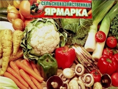 � ������-��� ������� ����������� �������������������� �������