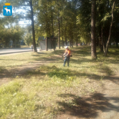 ������������ ������ �������� � ������� ������� ����� ��