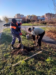 ������� ��� ������