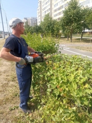 � �������������� ������������ � ������� ����