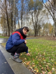 ���� ������ ������