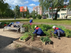 ���� ���������