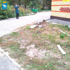 ���������� ����������� ���������� - ����������� ��������� ��������� �����