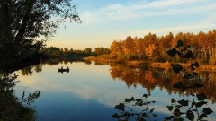 ������������ �� ���� � ������� ������