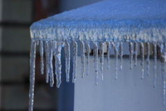 ���������� ������ �������� � ���������� ������ ������������ ���������� ���������� ������ ������-��� � ����� �������� �� ����������� ������ ���������������