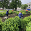 � ������� � ������: ����������� ���������� ������ �� ������� ������ �� ��������� �������