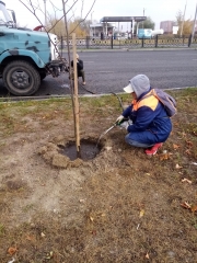 � ������-��� �������� ������� �������