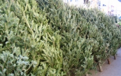 ������� ������ � ������-���