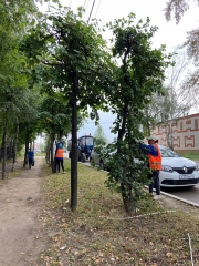 ���������� ������������ ����� ���������� �������� ������� �� ������������ ������������� ������-���