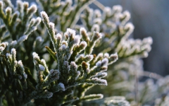 �������������� � ��������������� ������� ������ �� ���������� ���������� ����� ��