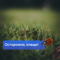 ��� ������ ������� � �������?