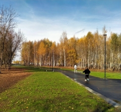 ����������� ����������� ������� ������ �� ��������� ����� �����