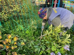 � ����������� ����� �������� � ������ ���������� ��������� � ������������� ������