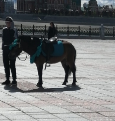 ���������������� �������� � ������ ������-��� ������� ������������� � ��������� ���������������� ������� �� ���������� ������ ��������