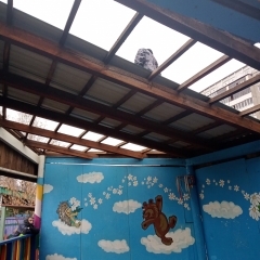 � ������� ���� � 11 "���������" �������� ������ �� ����������� ��������