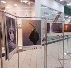 � ������-��� ��������� ������������ �������� ������� �� �����