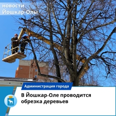 � ������-��� ���������� ������� ��������