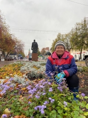 ���� ������ ������