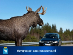 � ���������� ����� �� �������� ���������� ��� � �������� ����� ��������