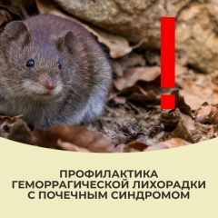 ������������ ����