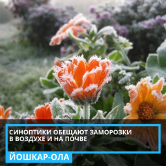 ��������, ���������