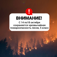 �������������� �� ������� ������� ������ �� ���������� ���������� ����� ��