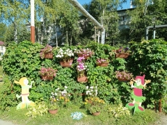 ����� ���������� �������� �� ������ ������������ ���������� �������� �����