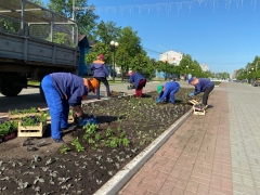 ������ ����� - ��� �������� ���� ��� ������������