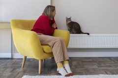 ��� ������ ������������� ������ ������. ������������ ������ 2022-2023 ����� ������������ � ������� ������