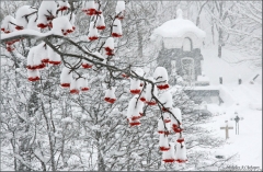 � ������-���  ��������� ��������� ������