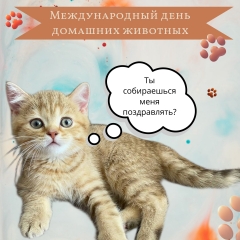 30 ������ ���������� ������������� ���� �������� ��������.