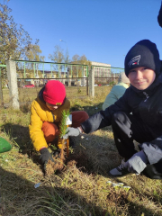 ��� �� �������, ��� ������� ��������� ������������� ��������� �������� ������� � ������� ��������