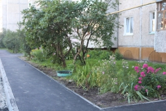 ����� ������-��� ������������� � ������ ����