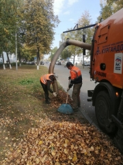 ���� ���������