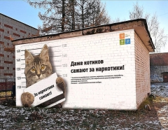 ����� � ������-��� �������� ��� ���� ��������