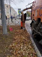 ���� ���������